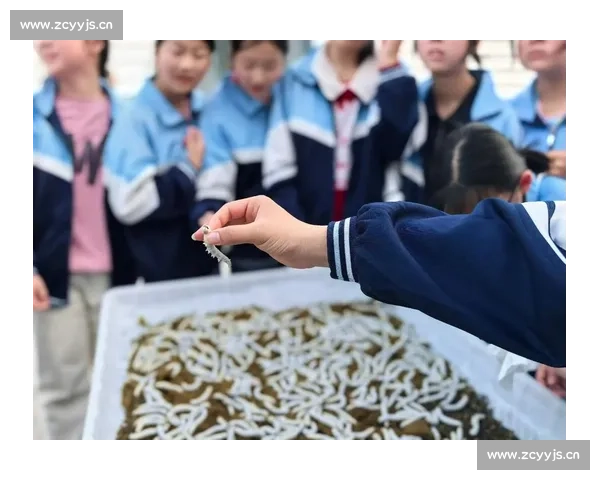 蚕比赛激发创新与传承 传统养蚕技艺与现代科技融合的盛会